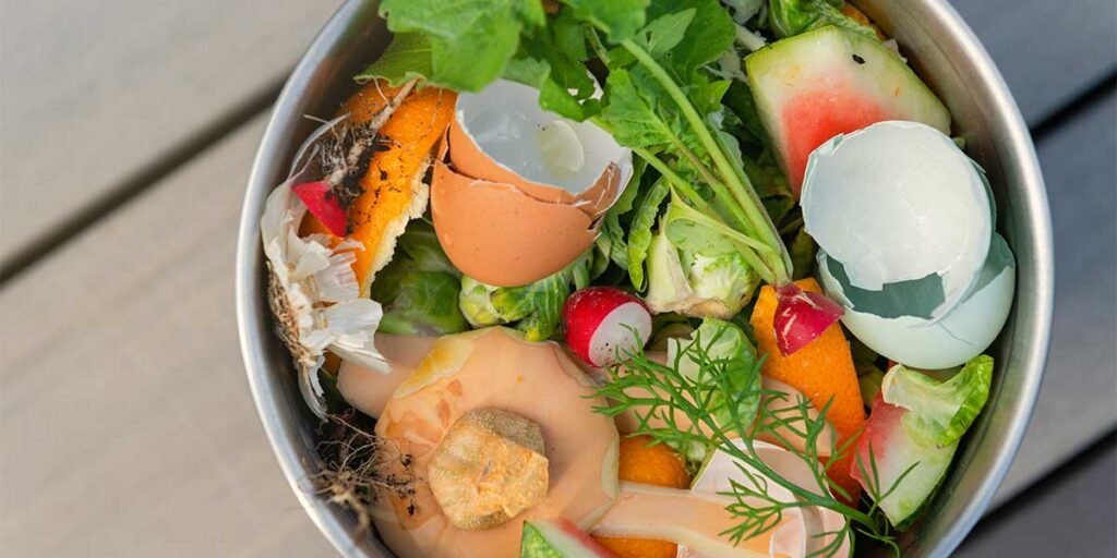What Should I Put in My Compost Bin? EZ Bin Cleaning CV