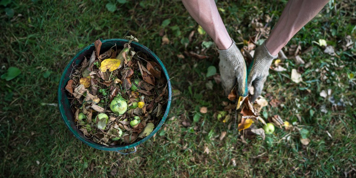 Making compost from fruit, vegetables and eggshells in the garden.